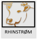 Rhinstrøm logo