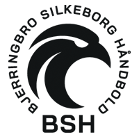 Bjerringbro-Silkeborg