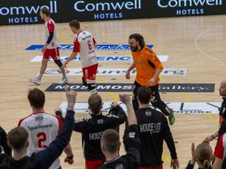 {{brizy_dc_image_alt entityId=