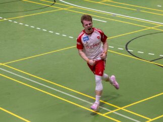 {{brizy_dc_image_alt entityId=